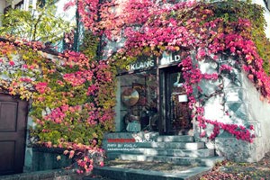 沃尔夫斯堡主场碾压对手，欧冠资格稳固