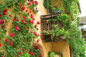 阿尔巴尼亚队锐意前行进入决赛